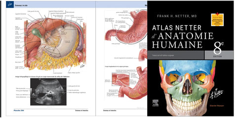 Atlas Netter d'anatomie humaine 8e édition