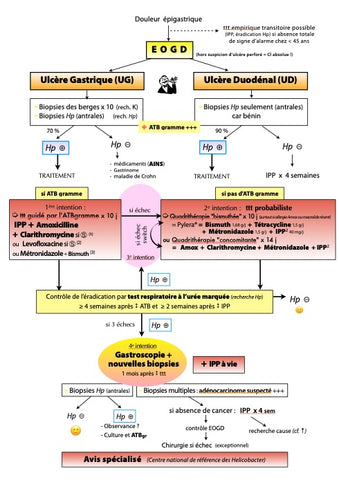 MIKBOOK MÉDECINE 4e ÉDITION