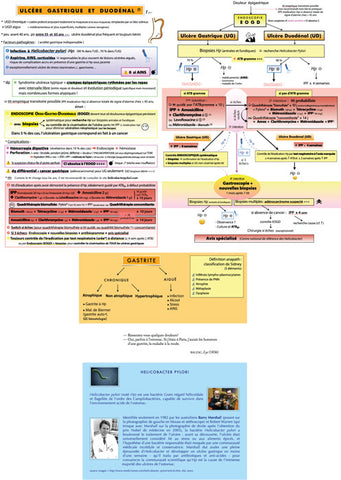 MIKBOOK MÉDECINE 4e ÉDITION
